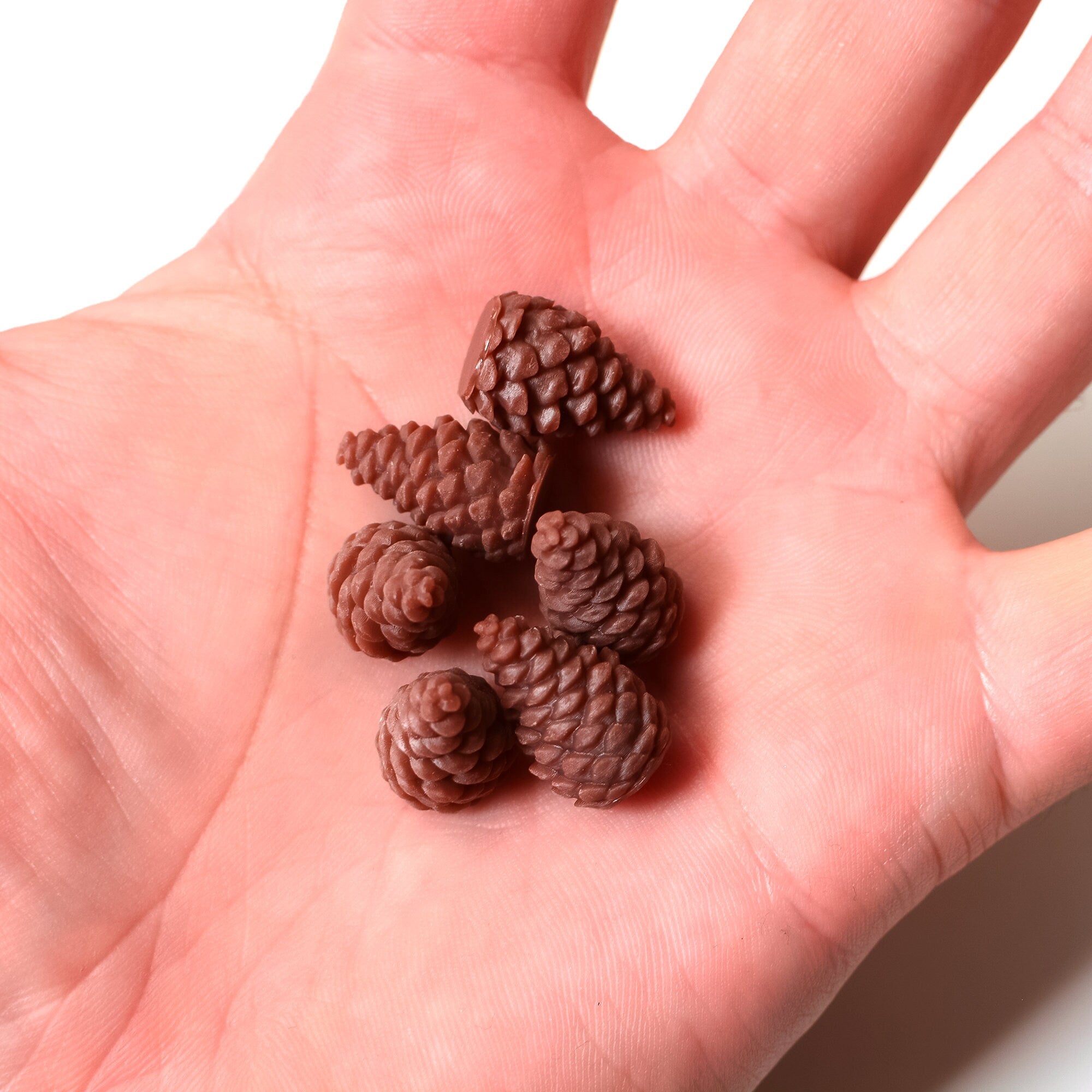 Cascadia Pinecone Tokens - Pack of 15 or 25 - board game expansion set - BoardGeekFox