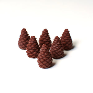 Cascadia Pinecone Tokens - Pack of 15 or 25 - board game expansion set - BoardGeekFox